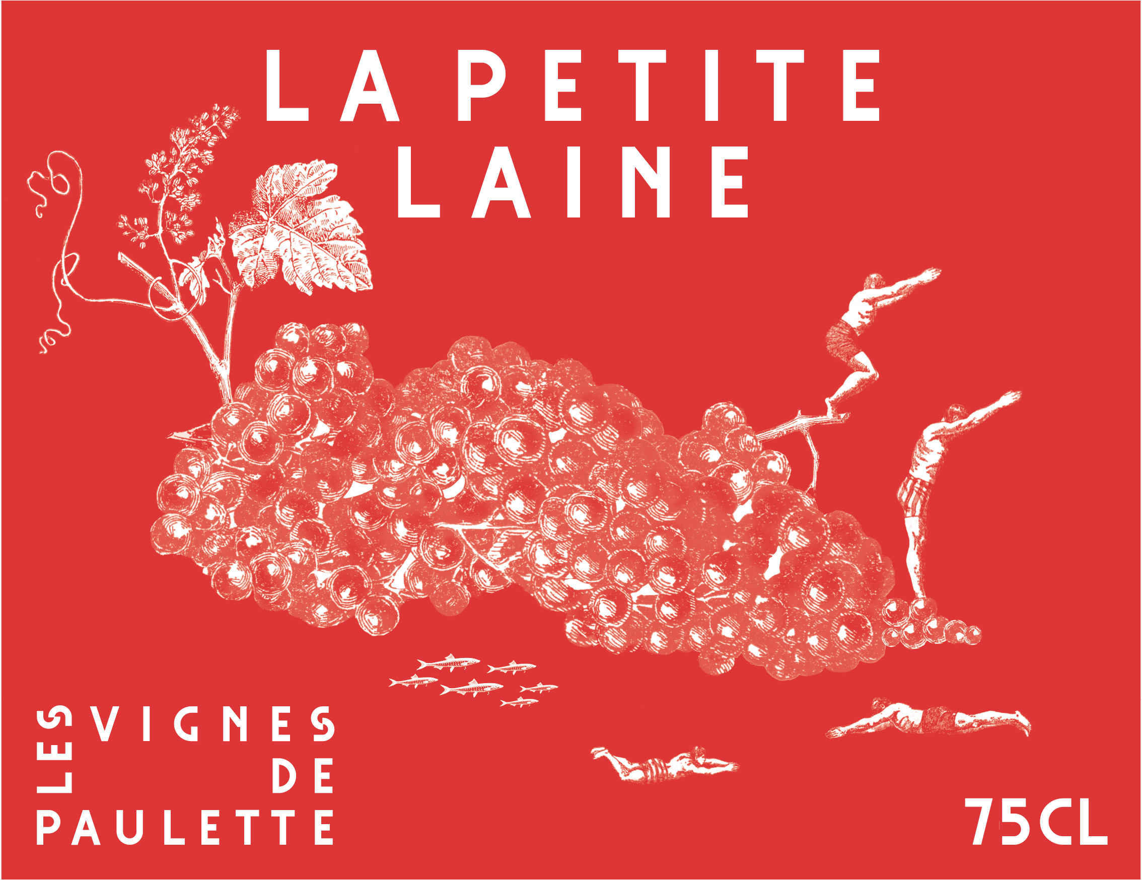 La Petite Laine – Vin De France rouge – 2025